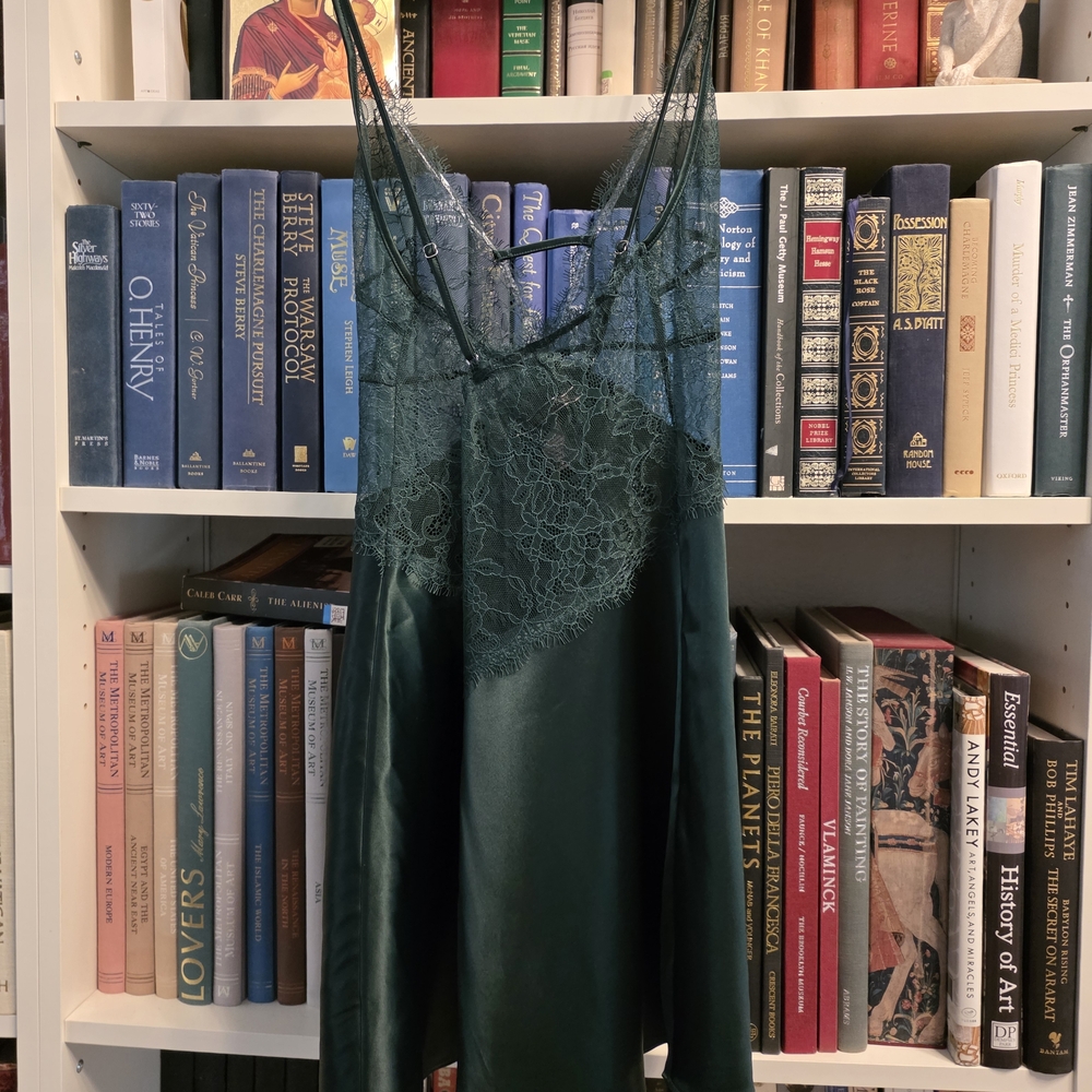 Victoria SECRET lace Gown Medium - Picture 3 of 4